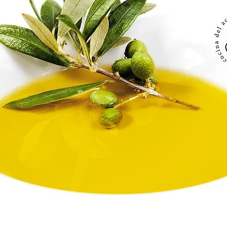 후아니토 호텔 바에자